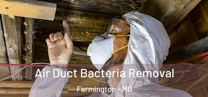  Air Duct Bacteria Removal Farmington - MO