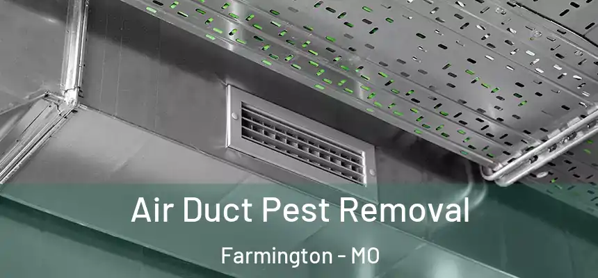  Air Duct Pest Removal Farmington - MO