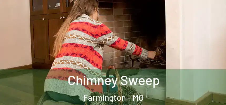  Chimney Sweep Farmington - MO