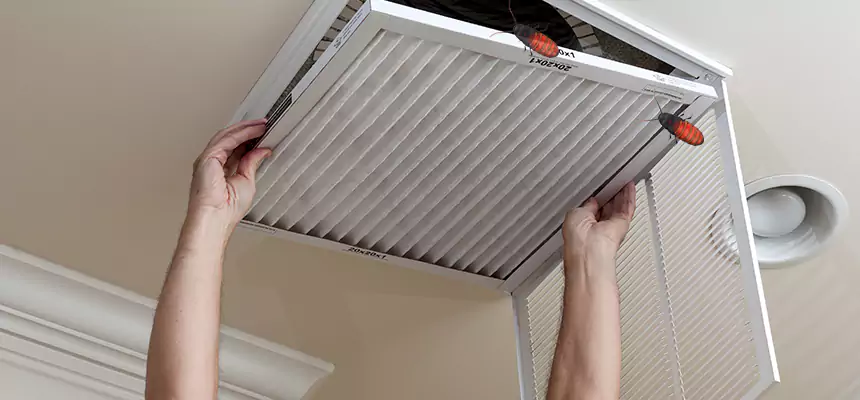 Preventive Cockroach-Proofing for Ducts in Farmington