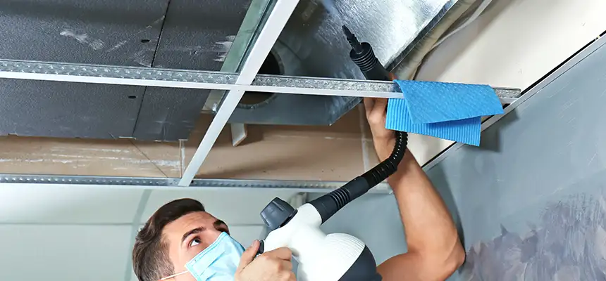 Our Air Duct Rodent Removal Services in Farmington, MO