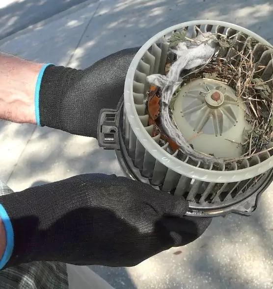 About Air Duct Rat Removal in Farmington, MO