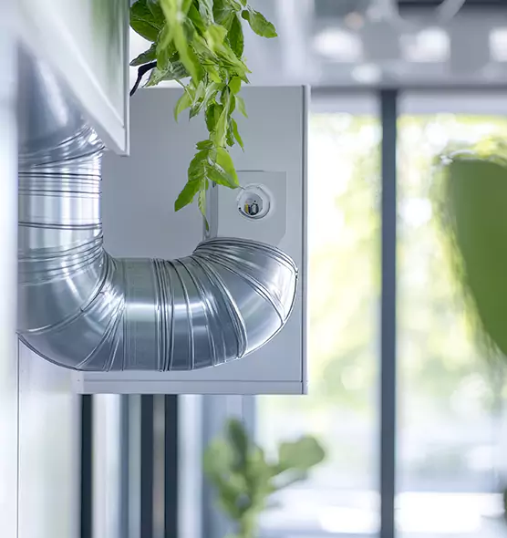 Professional Eco-Safe Dryer Vent Cleaning in Farmington, MO